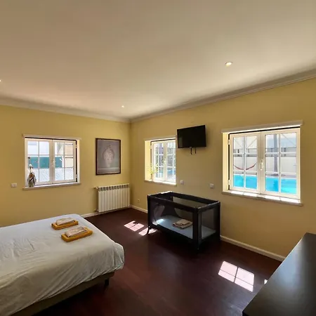 With Palm Tree Heated Pool Bed & Breakfast *