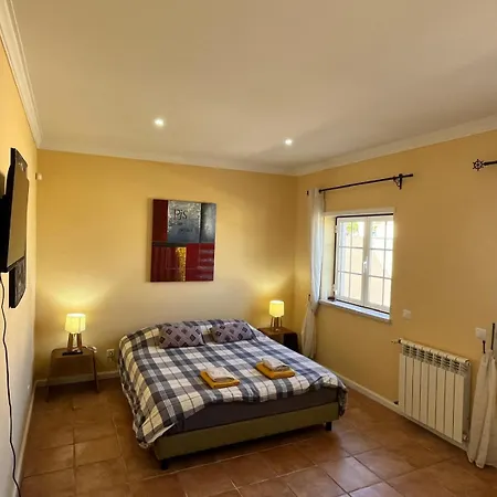 With Palm Tree Heated Pool Bed & Breakfast