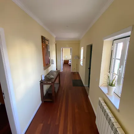 With Palm Tree Heated Pool São Martinho do Porto