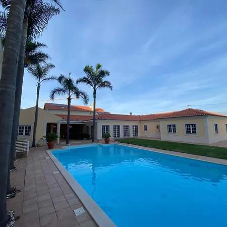 With Palm Tree Heated Pool Bed & Breakfast *