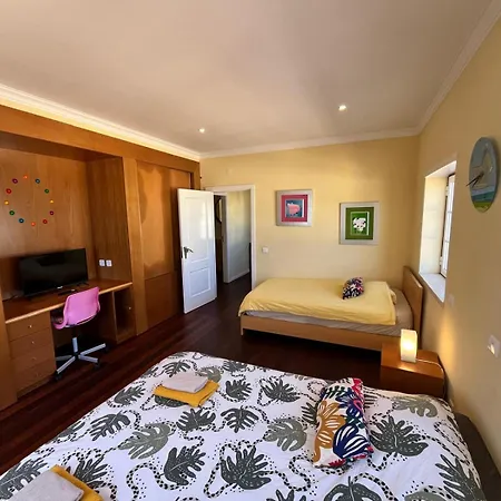 With Palm Tree Heated Pool *