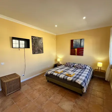 With Palm Tree Heated Pool Nocleg ze śniadaniem São Martinho do Porto