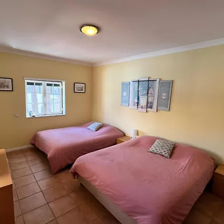 With Palm Tree Heated Pool São Martinho do Porto