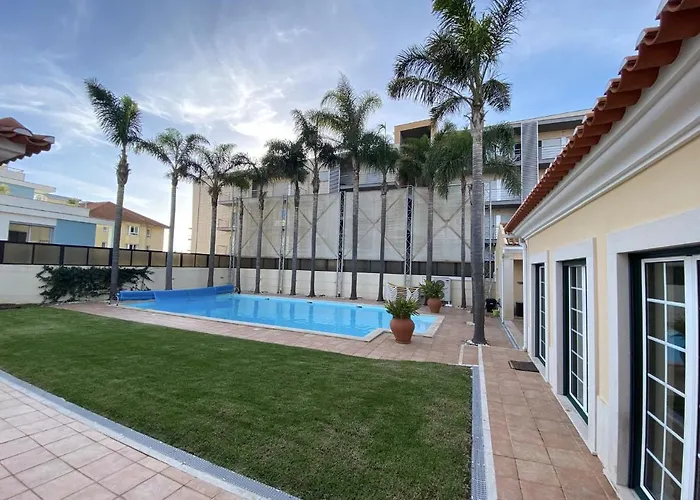 With Palm Tree Heated Pool Bed and breakfast