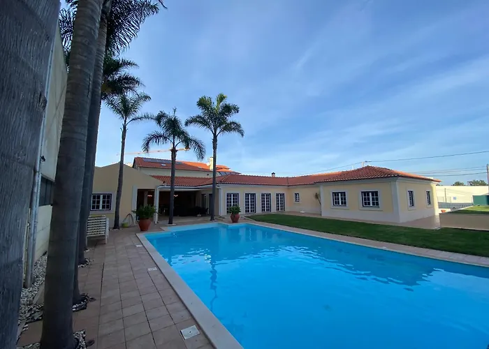 With Palm Tree Heated Pool Bed and breakfast *