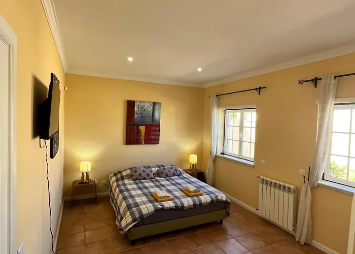 With Palm Tree Heated Pool Bed and breakfast